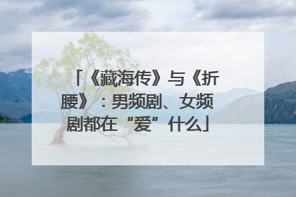 《藏海传》与《折腰》：男频剧、女频剧都在“爱”什么