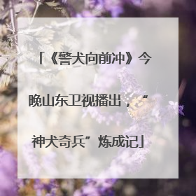 《警犬向前冲》今晚山东卫视播出，“神犬奇兵”炼成记