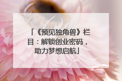 《预见独角兽》栏目：解锁创业密码，助力梦想启航