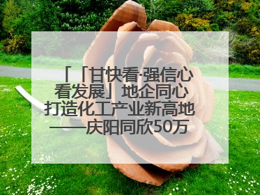 「甘快看·强信心 看发展」地企同心打造化工产业新高地——庆阳同欣50万吨/年轻烃深加工项目建设见闻