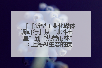 「新型工业化媒体调研行」从“北斗七星”到“热带雨林”：上海AI生态的技术商业共生密码
