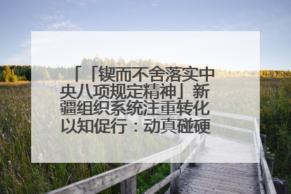 「锲而不舍落实中央八项规定精神」新疆组织系统注重转化以知促行：动真碰硬抓好整改整治