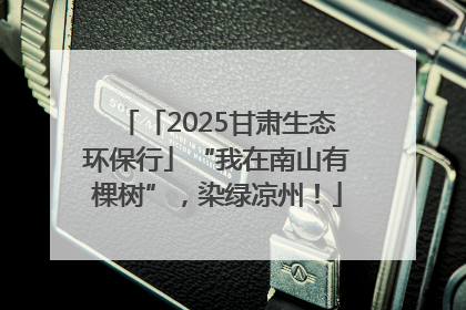 「2025甘肃生态环保行」“我在南山有棵树”，染绿凉州！