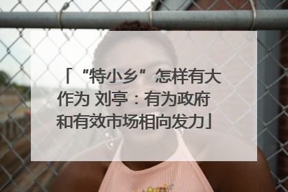 “特小乡”怎样有大作为 刘亭：有为政府和有效市场相向发力
