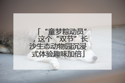 “童梦粽动员”，这个“双节”长沙生态动物园沉浸式体验趣味加倍