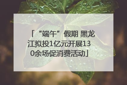 “端午”假期 黑龙江拟投1亿元开展130余场促消费活动