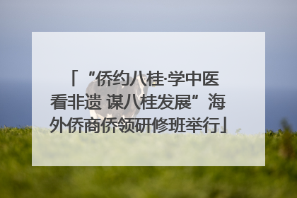 “侨约八桂·学中医 看非遗 谋八桂发展”海外侨商侨领研修班举行