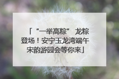 “一举高粽” 龙粽登场！安宁玉龙湾端午宋韵游园会等你来