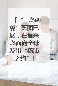 “一岛两翼”蓝图已展，在复兴岛面向全球发出“杨浦之约”