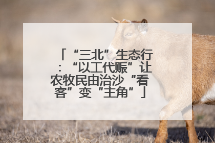 “三北”生态行：“以工代赈”让农牧民由治沙“看客”变“主角”