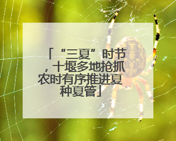 “三夏”时节，十堰多地抢抓农时有序推进夏种夏管