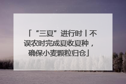 “三夏”进行时丨不误农时完成夏收夏种，确保小麦颗粒归仓