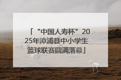 “中国人寿杯”2025年漳浦县中小学生篮球联赛圆满落幕