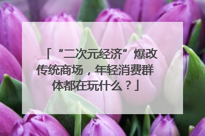 “二次元经济”爆改传统商场，年轻消费群体都在玩什么？