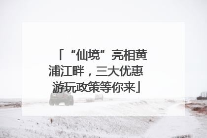 “仙境”亮相黄浦江畔，三大优惠游玩政策等你来
