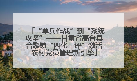 “单兵作战”到“系统攻坚”——甘肃省高台县合黎镇“四化一评”激活农村党员管理新引擎