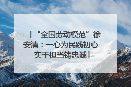 “全国劳动模范”徐安清：一心为民践初心 实干担当铸忠诚
