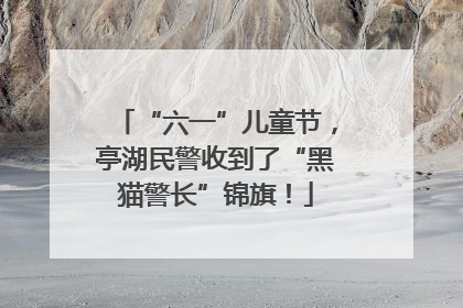 “六一”儿童节，亭湖民警收到了“黑猫警长”锦旗！