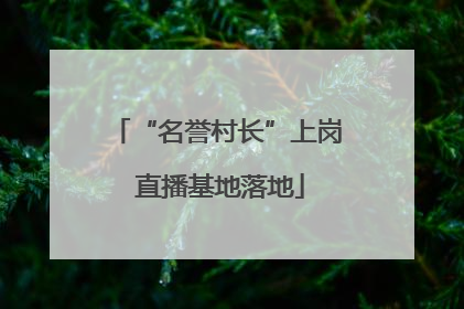 “名誉村长”上岗 直播基地落地