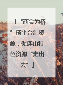 “商会为桥”搭平台汇资源，促连山特色资源“走出去”