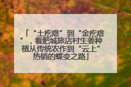 “土疙瘩”到“金疙瘩”，看肥城旅店村生姜种植从传统农作到“云上”热销的蝶变之路