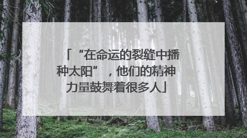 “在命运的裂缝中播种太阳”，他们的精神力量鼓舞着很多人