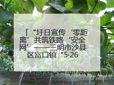 “圩日宣传‘零距离’共筑铁路‘安全网’——三明市沙县区富口镇“5·26我爱路“主题宣传活动成效显著