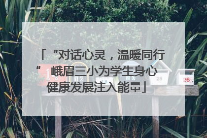 “对话心灵，温暖同行” 峨眉三小为学生身心健康发展注入能量