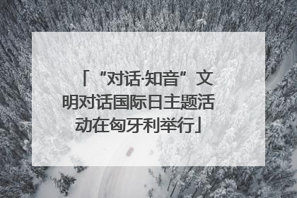 “对话·知音”文明对话国际日主题活动在匈牙利举行