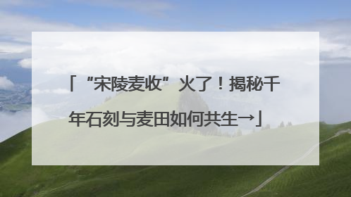 “宋陵麦收”火了！揭秘千年石刻与麦田如何共生→
