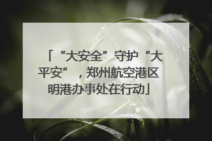 “大安全”守护“大平安”，郑州航空港区明港办事处在行动