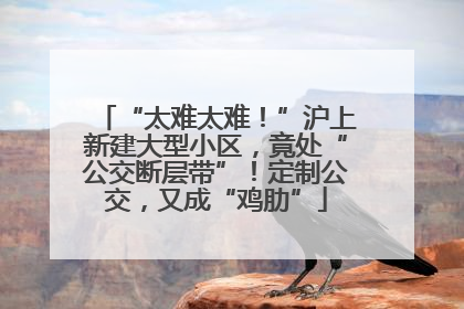 “太难太难！”沪上新建大型小区，竟处“公交断层带”！定制公交，又成“鸡肋”