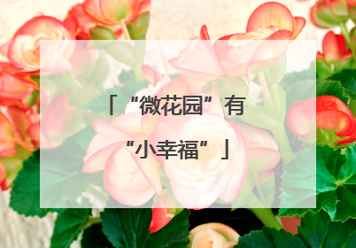 “微花园”有“小幸福”