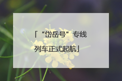 “岱岳号”专线列车正式起航