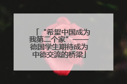 “希望中国成为我第二个家”——德国学生期待成为中德交流的桥梁