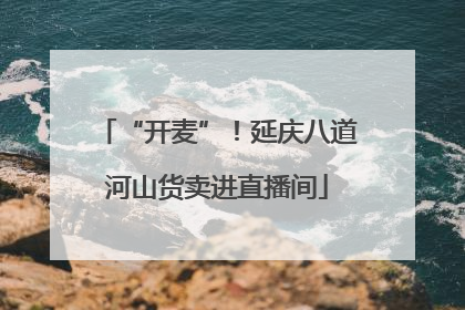 “开麦”！延庆八道河山货卖进直播间