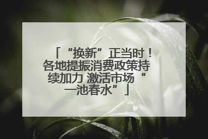 “换新”正当时！各地提振消费政策持续加力 激活市场“一池春水”