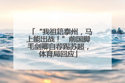“我祖籍泰州，马上能出战！”前国脚毛剑卿自荐踢苏超，体育局回应