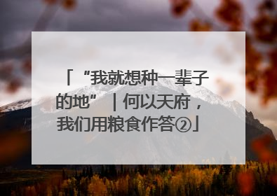 “我就想种一辈子的地”｜何以天府，我们用粮食作答②
