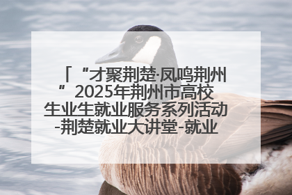 “才聚荆楚·凤鸣荆州”2025年荆州市高校生业生就业服务系列活动-荆楚就业大讲堂-就业嘉年华活动举行