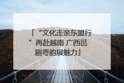 “文化走亲东盟行”再赴越南 广西邕剧粤韵展魅力