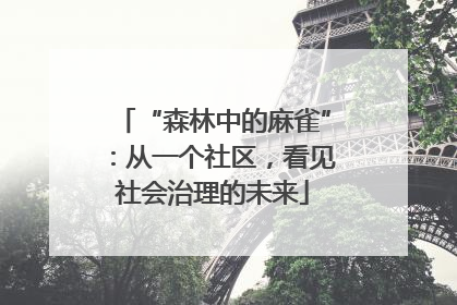 “森林中的麻雀”：从一个社区，看见社会治理的未来