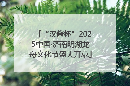 “汉酱杯”2025中国·济南明湖龙舟文化节盛大开幕