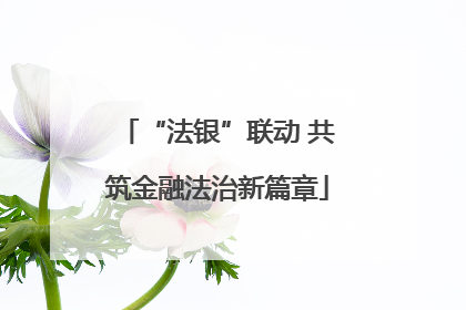 “法银”联动 共筑金融法治新篇章