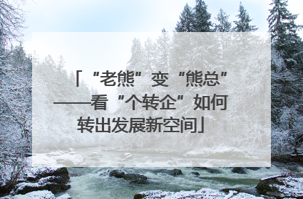 “老熊”变“熊总”——看“个转企”如何转出发展新空间