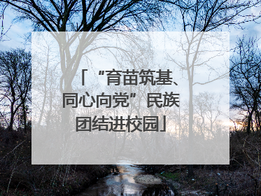 “育苗筑基、同心向党”民族团结进校园