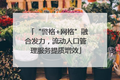 “警格+网格”融合发力，流动人口管理服务提质增效