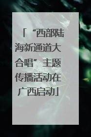 “西部陆海新通道大合唱”主题传播活动在广西启动
