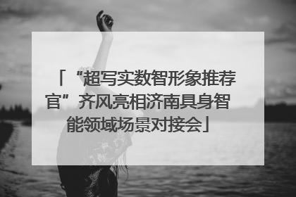 “超写实数智形象推荐官”齐风亮相济南具身智能领域场景对接会