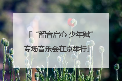 “韶音启心 少年赋”专场音乐会在京举行